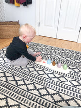 Load image into Gallery viewer, Colour Sorting Eggs